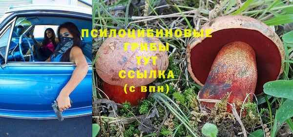 альфа пвп Беломорск
