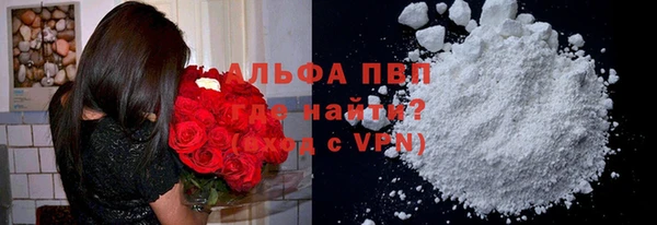 a pvp Белокуриха